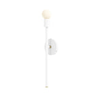 Color Major Sconce 21"