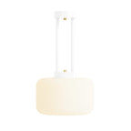 Color Maxo Pendant 13"