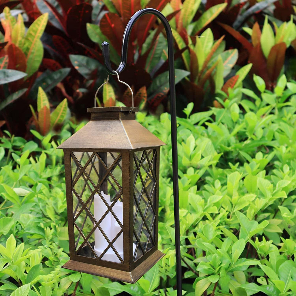 Unlit lantern hanging beside green plants in daylight