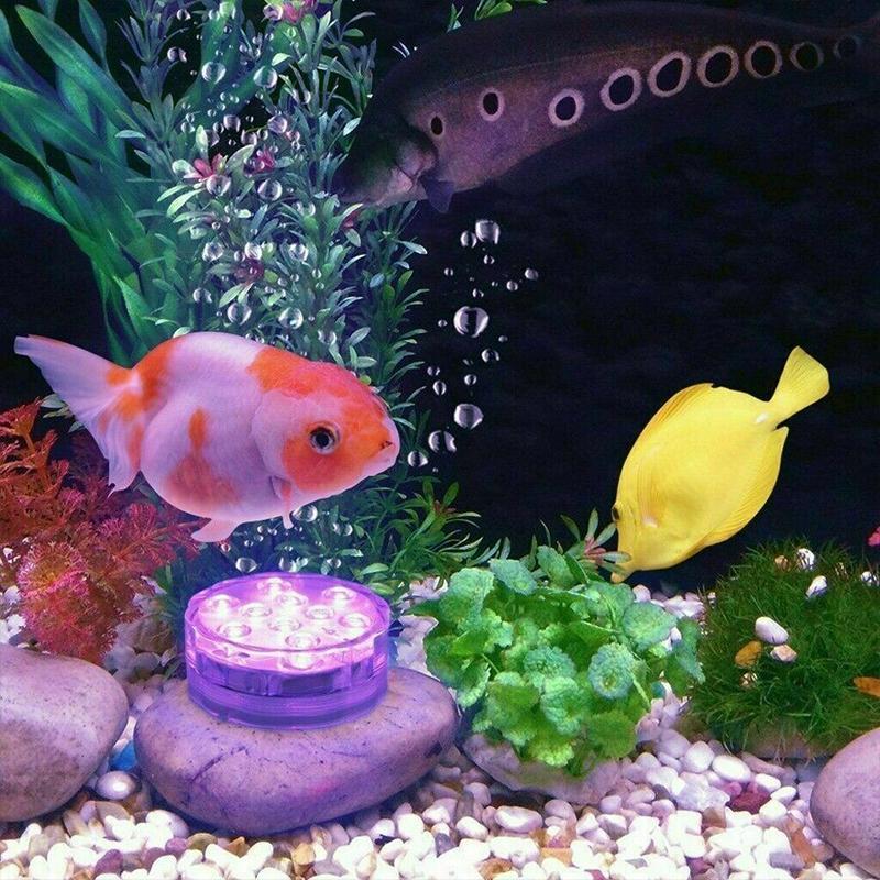 Purple LED accent light pictured at the bottom of an aquarium
