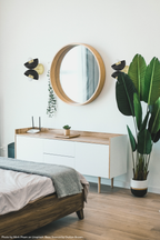 Color Beso Sconce