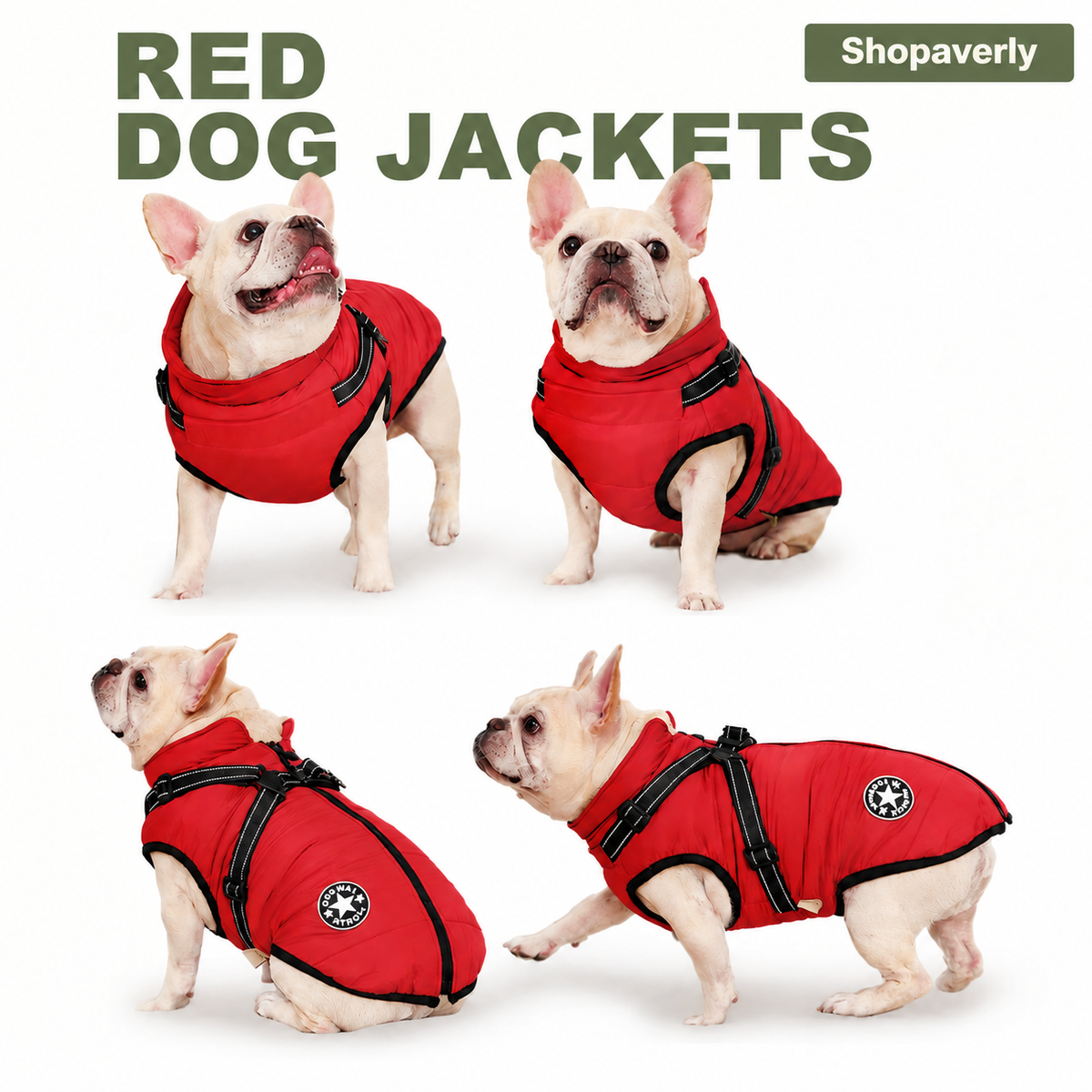 3-in-1 Winter Dog Coat | Warm, Waterproof, Windproof with Built-In Harness