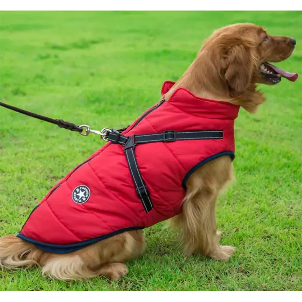 3-in-1 Winter Dog Coat | Warm, Waterproof, Windproof with Built-In Harness