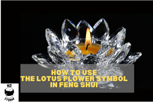 How to Use the Lotus Flower Symbol in Feng Shui